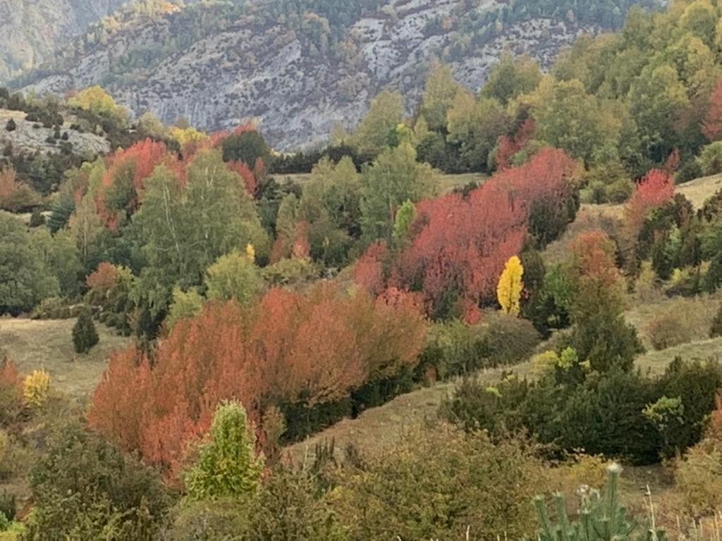 Appartamento El Estacho De Panticosa Esterno foto